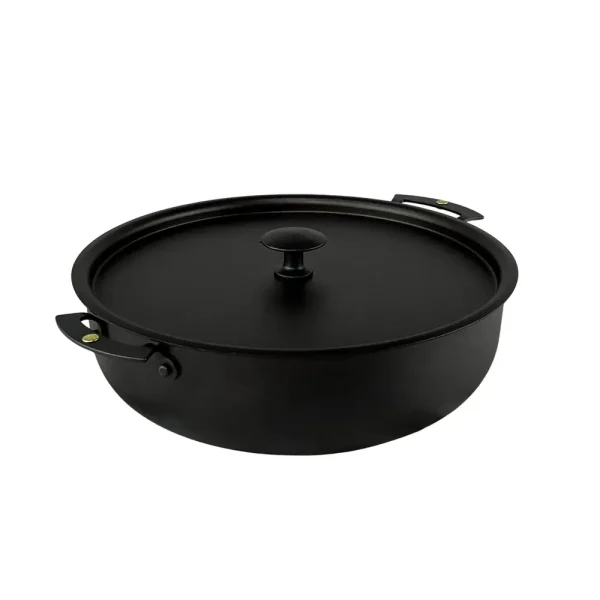 Saute Casserole with Lid